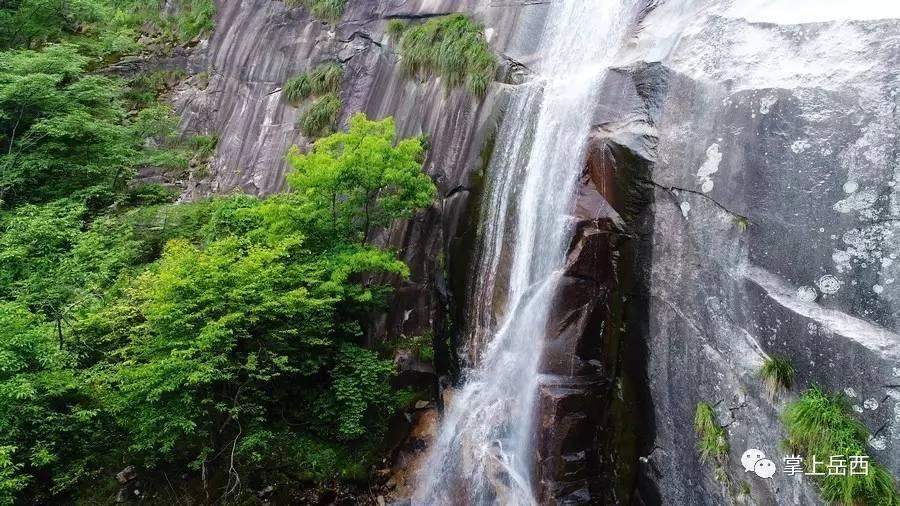 梦想的后院