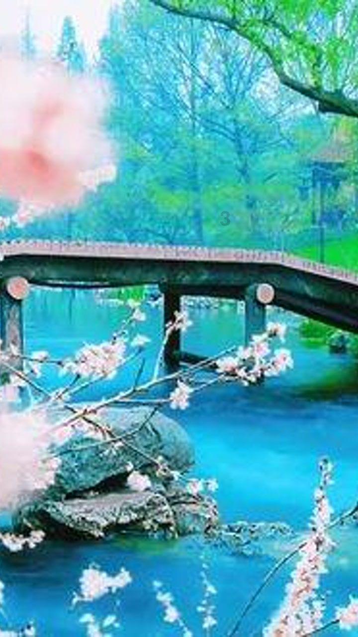 博物馆小偷